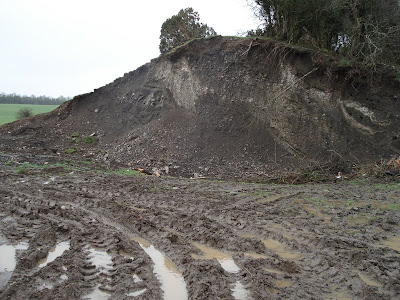 Campaign To Save Tara